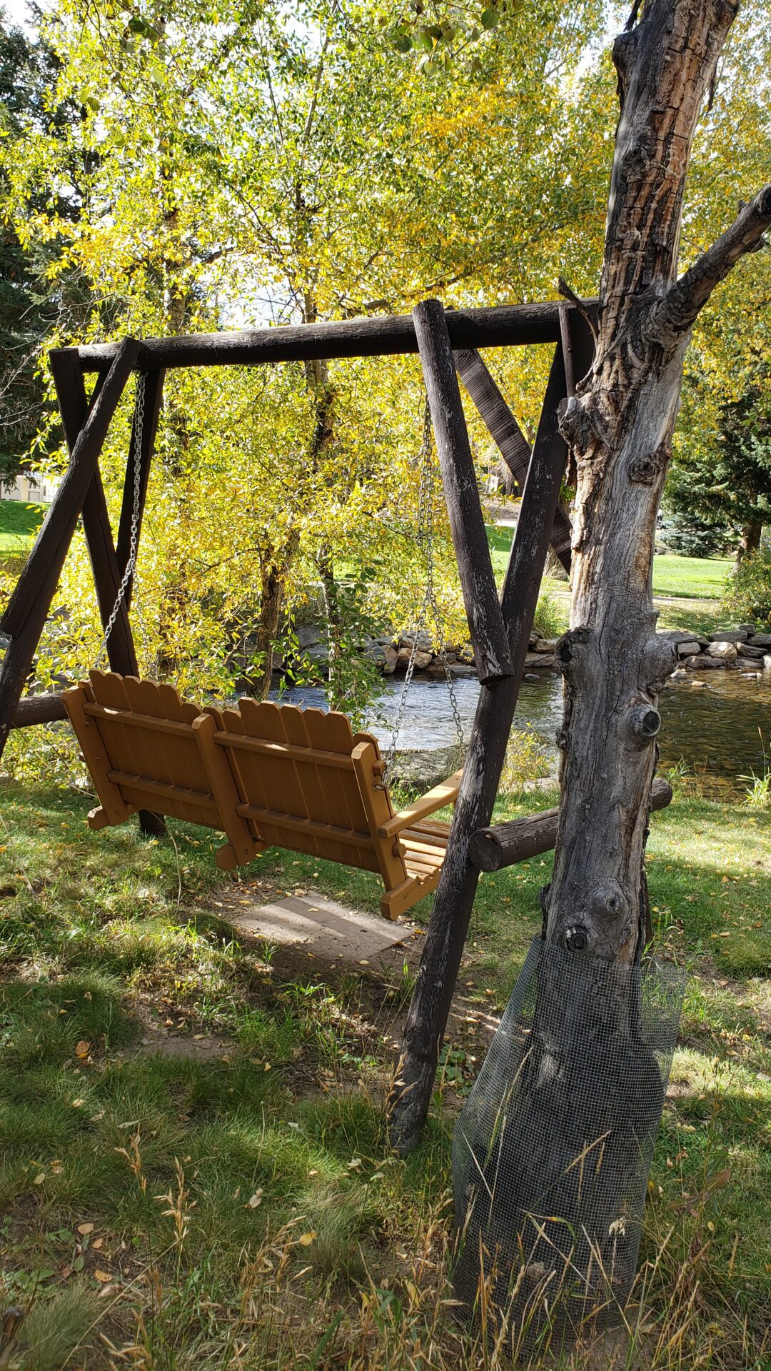 20220928_160602 Riverside Retreat Cabin Riverview Swing